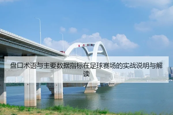 盘口术语与主要数据指标在足球赛场的实战说明与解读